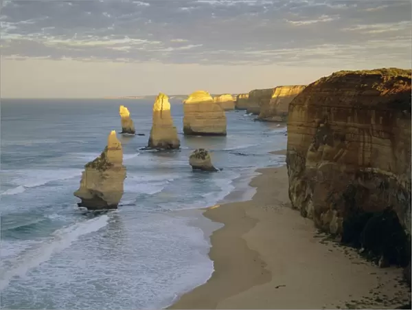 Sea stacks on the coast, The Twelve Apostles, Great Ocean Road, Victoria, Australia