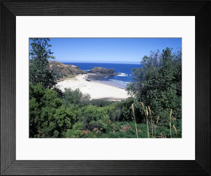 Framed Print : View over trees to trbeach and Bushranger Bay, Mornington Peninsula, Victoria Framed Print : View over trees to trbeach and Bushranger Bay, Mornington Peninsula, Victoria