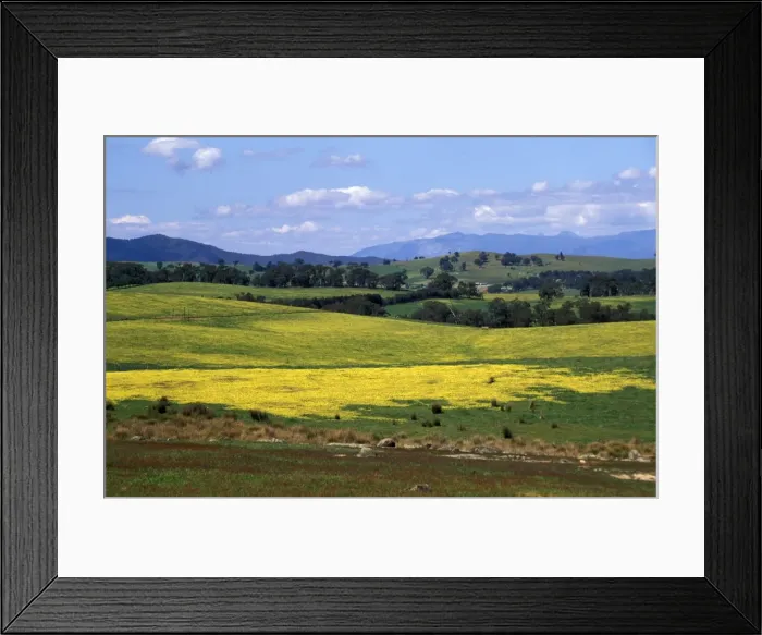 Framed Print : Wide open rolling landscape, hills and valleys between Beechworth and Everton Framed Print : Wide open rolling landscape, hills and valleys between Beechworth and Everton