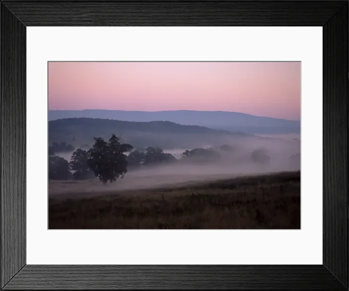Framed Print : Field, Marysville, Yarm Ranges, Victoria, Australia, Pacific Framed Print : Field, Marysville, Yarm Ranges, Victoria, Australia, Pacific