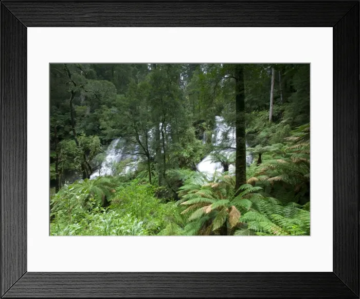 Framed Print : Triplet Falls, Otway National Park, Victoria, Australia, Pacific Framed Print : Triplet Falls, Otway National Park, Victoria, Australia, Pacific