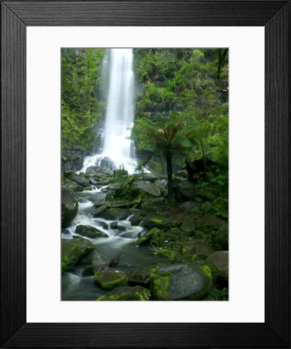 Framed Print : Erskine Falls, waterfall in the rainforest, Great Ocean Road, South Australia Framed Print : Erskine Falls, waterfall in the rainforest, Great Ocean Road, South Australia