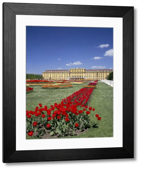 Framed Print : Palace and gardens, Schonbrunn, UNESCO World Heritage Site, Vienna, Austria, Europe Framed Print : Palace and gardens, Schonbrunn, UNESCO World Heritage Site, Vienna, Austria, Europe