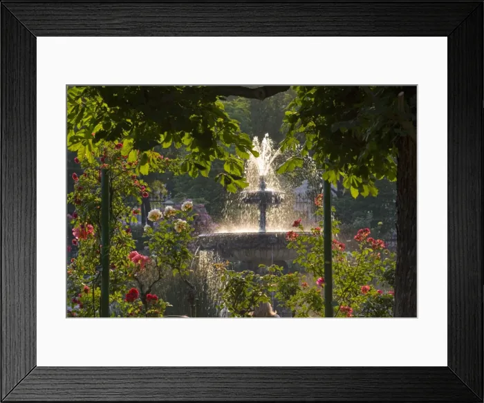 Framed Print : Volksgarten, Hofburg, Vienna, Austria Framed Print : Volksgarten, Hofburg, Vienna, Austria