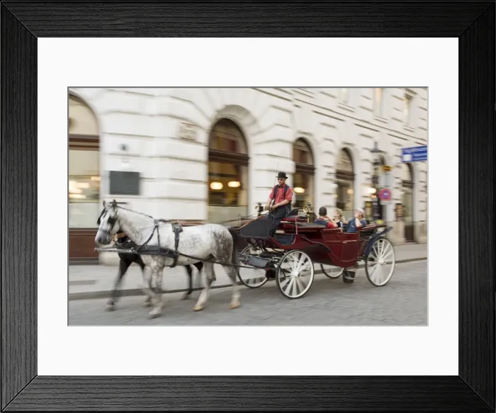 Framed Print : Horse-drawn tourist carriage near Hofburg, Vienna, Austria, Europe Framed Print : Horse-drawn tourist carriage near Hofburg, Vienna, Austria, Europe