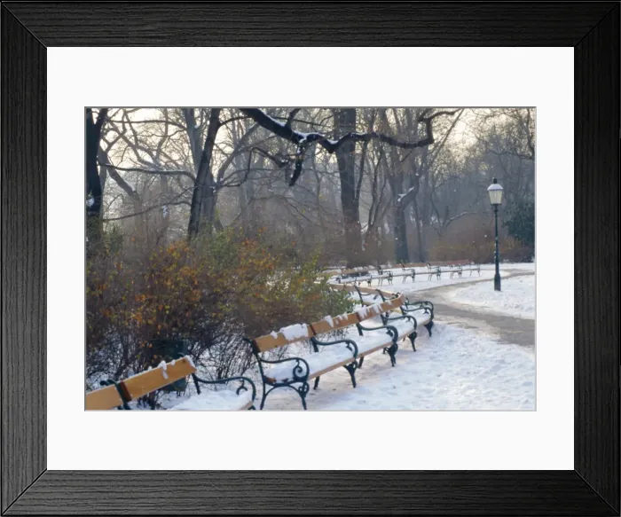 Framed Print : A snow covered park in Vienna in Winter, Austria Framed Print : A snow covered park in Vienna in Winter, Austria