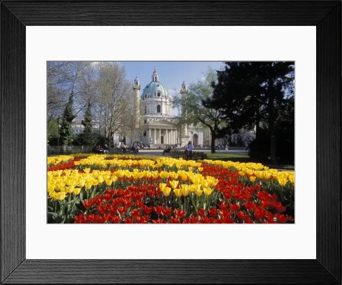 Framed Print : View over flowerbeds of red and yellow tulips to the Karlskirche (church) Framed Print : View over flowerbeds of red and yellow tulips to the Karlskirche (church)