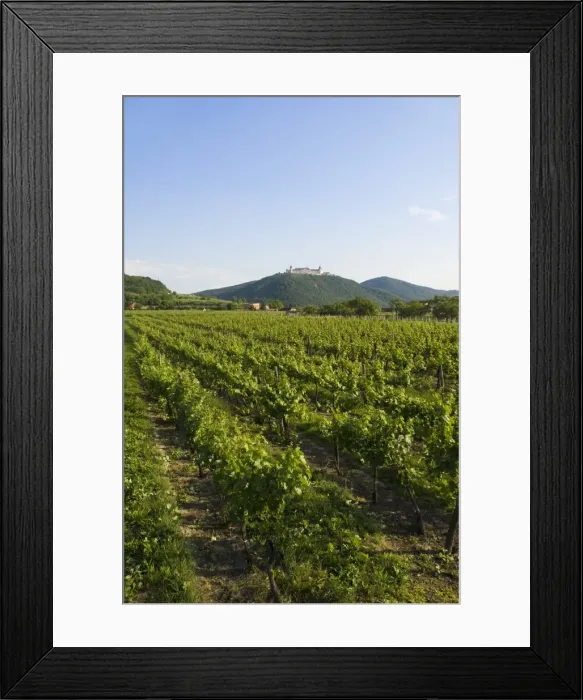 Framed Print : Stift Gottweig, near Krems an der Donau, Wachau, Austria, Europe Framed Print : Stift Gottweig, near Krems an der Donau, Wachau, Austria, Europe