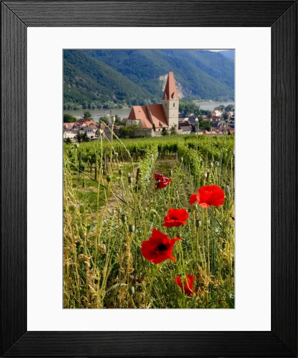 Framed Print : Weissenkirchen Pfarrkirche and vinyards, Wachau, Austria Framed Print : Weissenkirchen Pfarrkirche and vinyards, Wachau, Austria