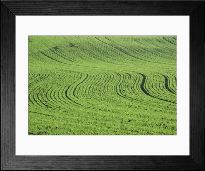 Framed Print : Abstract landscape of a green field Framed Print : Abstract landscape of a green field