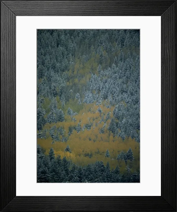 Framed Print : Aerial view over section of forest in autumn Framed Print : Aerial view over section of forest in autumn