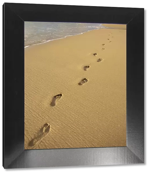 Footprints in the sand on a beach