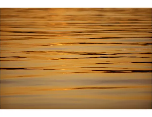 Calm water reflecting dusk light, Tysfjord, Arctic Waters, Polar Regions