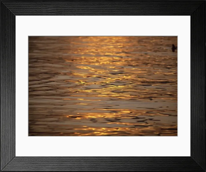 Framed Print : Calm water reflecting dusk light, Tysfjord, Arctic Waters, Polar Regions Framed Print : Calm water reflecting dusk light, Tysfjord, Arctic Waters, Polar Regions