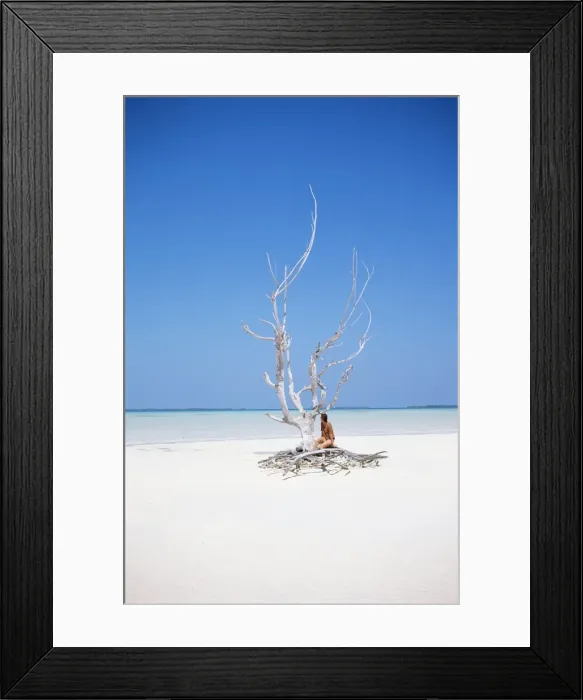 Framed Print : Barrows Goldeneye (Bucephala islandica) swimming, Yellowstone National Park, Wyoming, United States of America, North America Framed Print : Barrows Goldeneye (Bucephala islandica) swimming, Yellowstone National Park, Wyoming, United States of America, North America