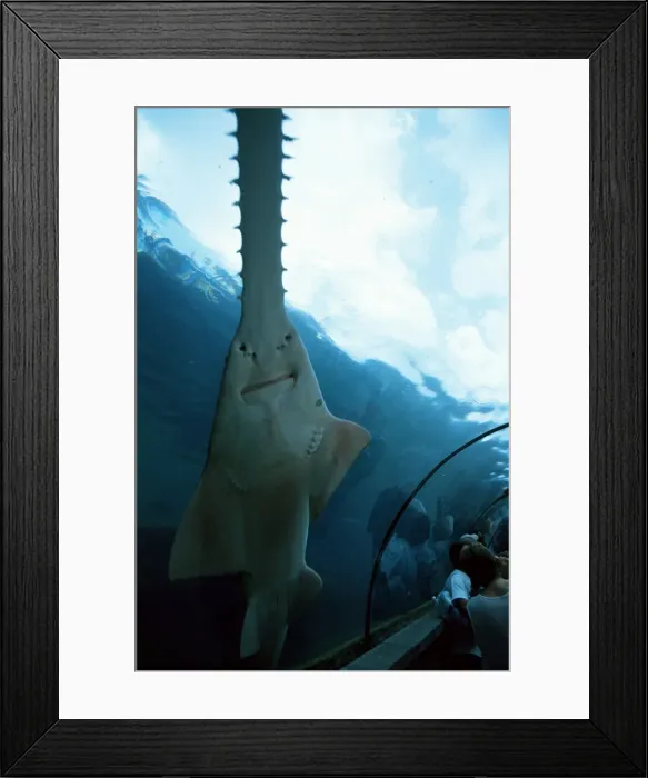 Framed Print : Atlantis, Paradise Island, Bahamas West Indies, Central America Framed Print : Atlantis, Paradise Island, Bahamas West Indies, Central America
