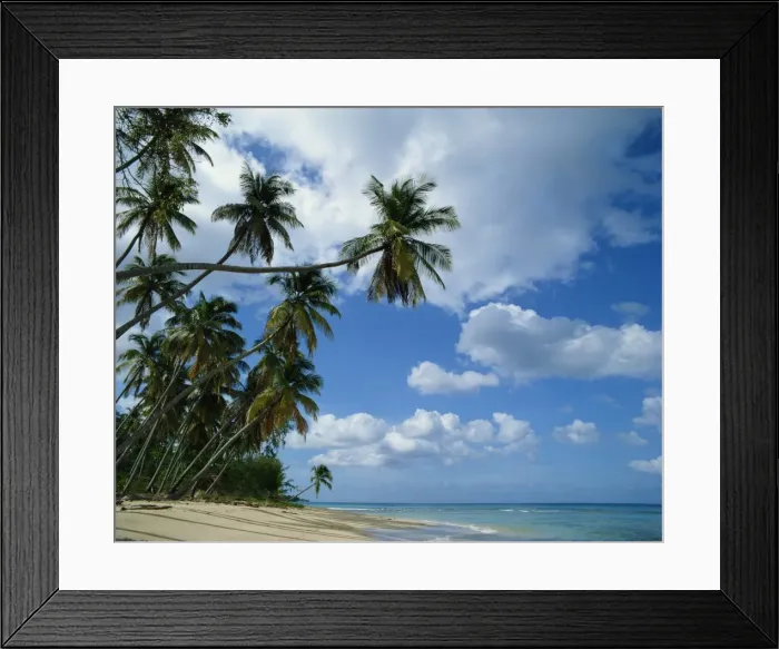 Framed Print : Beach, Barbados, West Indies, Caribbean, Central America Framed Print : Beach, Barbados, West Indies, Caribbean, Central America
