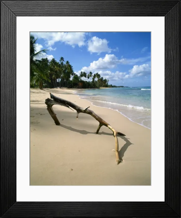 Framed Print : Beach, Barbados, West Indies, Caribbean, Central America Framed Print : Beach, Barbados, West Indies, Caribbean, Central America