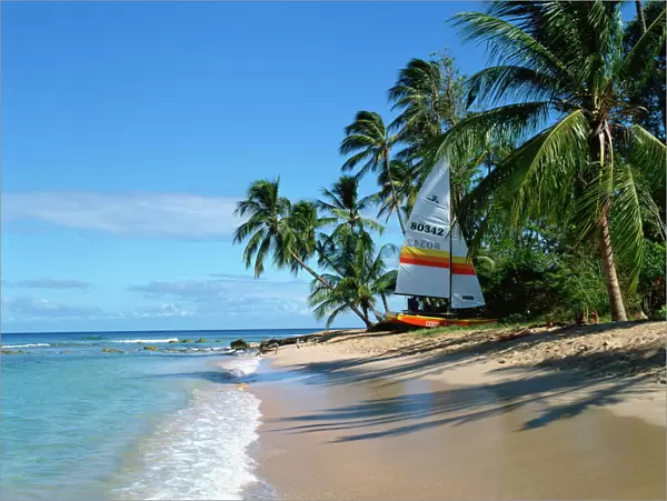 Catamaran on beach, Barbados, West Indies, Caribbean, Central America