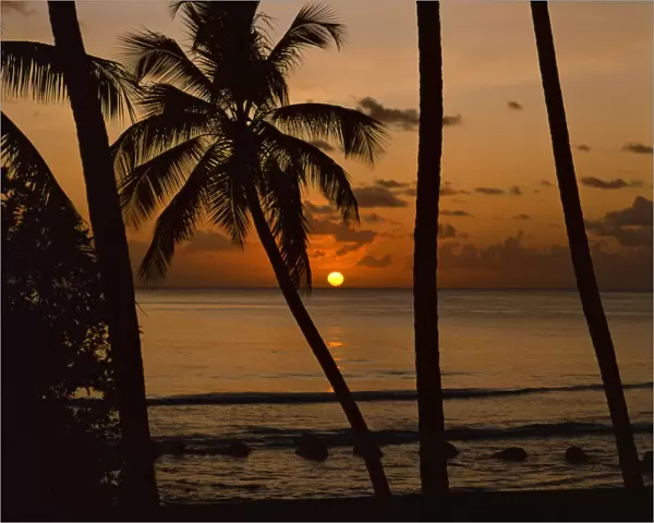 Beach at sunset, Barbados, West Indies, Caribbean, Central America