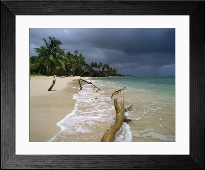 Framed Print : Beach, Barbados, West Indies, Caribbean, Central America Framed Print : Beach, Barbados, West Indies, Caribbean, Central America
