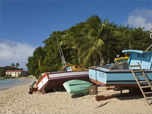 Fishing boats, Port St. Charles, Speightstown, Barbados, West Indies, Caribbean