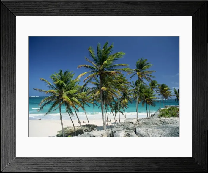 Framed Print : Tropical coastline at Bottom Bay, Barbados, West Indies, Caribbean, Central America Framed Print : Tropical coastline at Bottom Bay, Barbados, West Indies, Caribbean, Central America