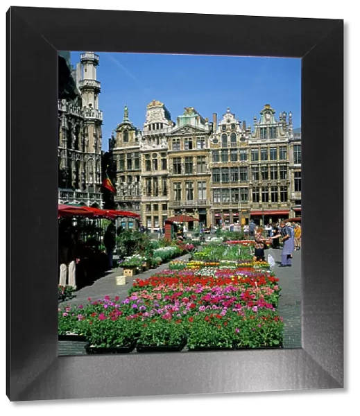 Grand Place, Brussels (Bruxelles), Belgium, Europe