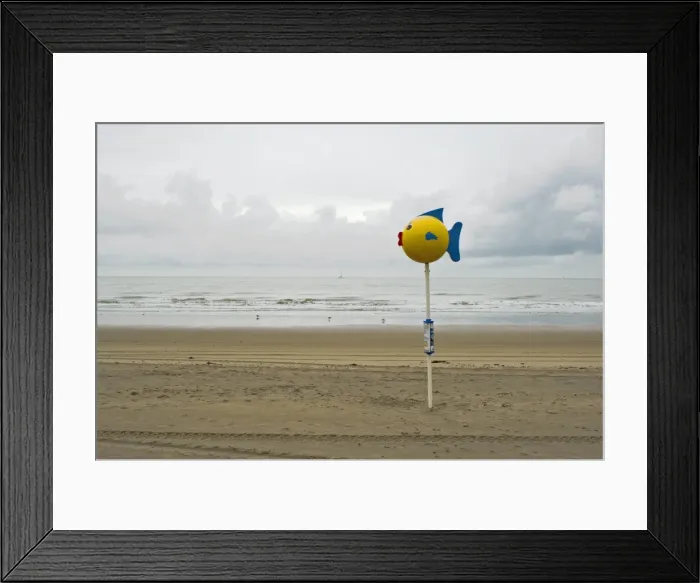 Framed Print : Fish out of water, a wet day on Blankenberge beach, Belgium, Europe Framed Print : Fish out of water, a wet day on Blankenberge beach, Belgium, Europe