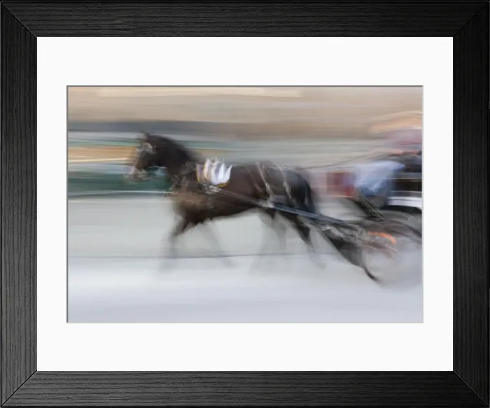 Framed Print : Galloping horse and cart in street, Bruges, Belgium, Europe Framed Print : Galloping horse and cart in street, Bruges, Belgium, Europe