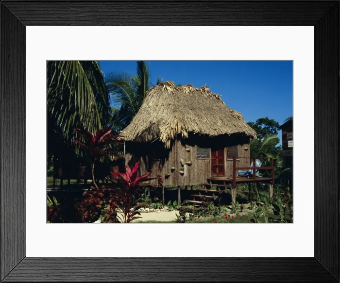 Framed Print : Typical thatched wooden hut on the island, Caye Caulker, Belize, Central America Framed Print : Typical thatched wooden hut on the island, Caye Caulker, Belize, Central America