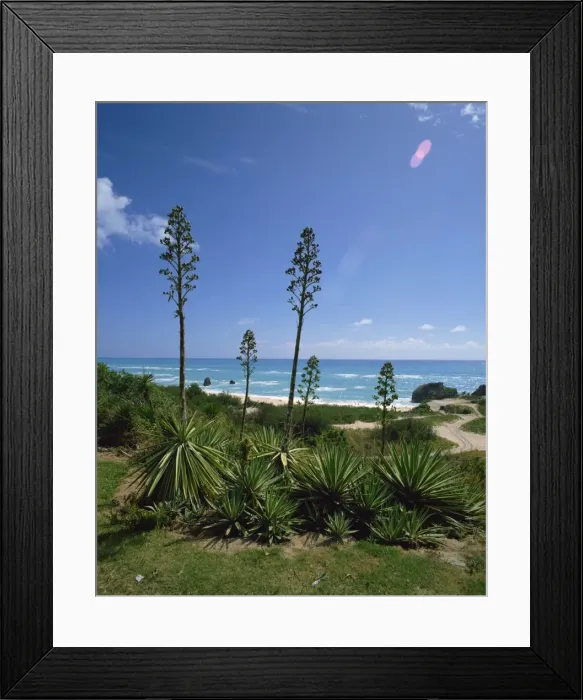 Framed Print : South coast, Bermuda, Central America, mid-Atlantic Framed Print : South coast, Bermuda, Central America, mid-Atlantic