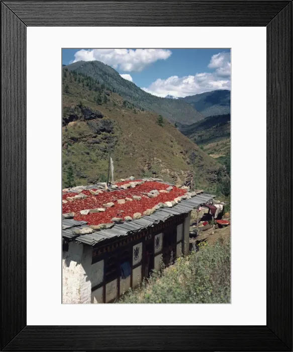 Framed Print : Chillies drying on the roof of a house in the hills in Bhutan, Asia Framed Print : Chillies drying on the roof of a house in the hills in Bhutan, Asia