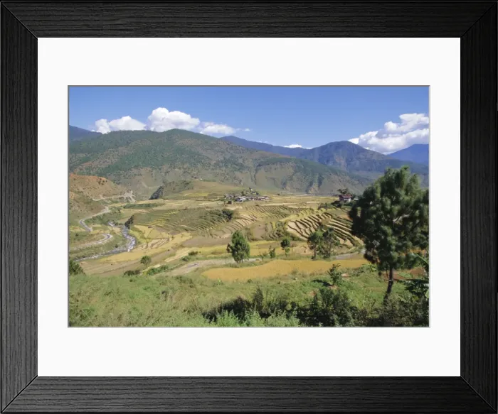 Framed Print : Terraces on hillsides, Thimpu, Bhutan Framed Print : Terraces on hillsides, Thimpu, Bhutan