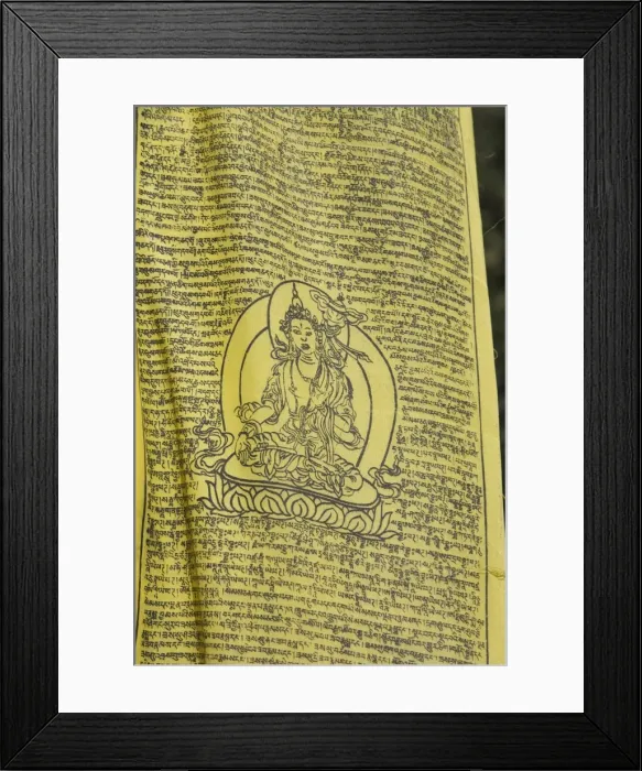 Framed Print : Buddhist prayer flag, Taktshang Goemba (Tigers Nest) Monastery, Paro, Bhutan, Asia Framed Print : Buddhist prayer flag, Taktshang Goemba (Tigers Nest) Monastery, Paro, Bhutan, Asia