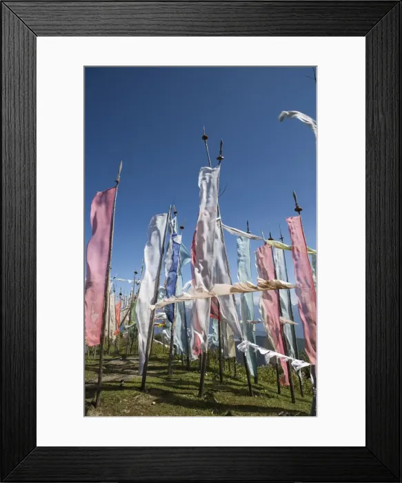 Framed Print : Buddhist prayer flags on Cheli La Pass (3810mt), from Paro to Haa Valley Framed Print : Buddhist prayer flags on Cheli La Pass (3810mt), from Paro to Haa Valley