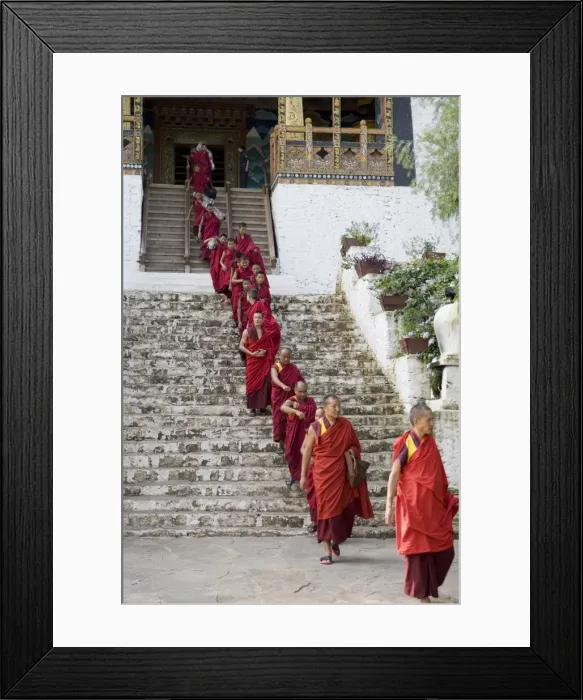 Framed Print : Buddhist monks, Punakha Dzong, Punakha, Bhutan, Asia Framed Print : Buddhist monks, Punakha Dzong, Punakha, Bhutan, Asia