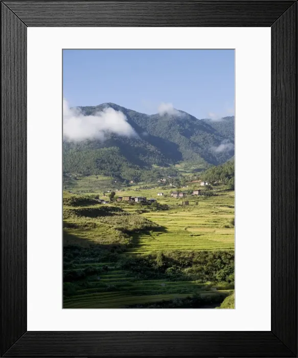 Framed Print : Punakha, Bhutan, Asia Framed Print : Punakha, Bhutan, Asia