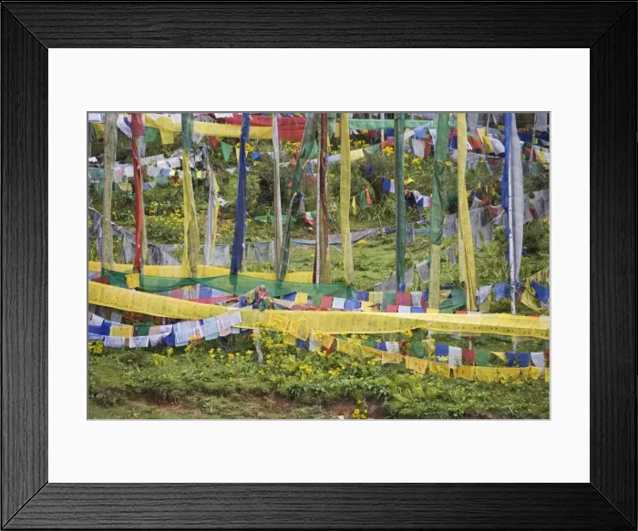 Framed Print : Prayer flags, Druk Wangyal Chorten, Bhutan, Asia Framed Print : Prayer flags, Druk Wangyal Chorten, Bhutan, Asia
