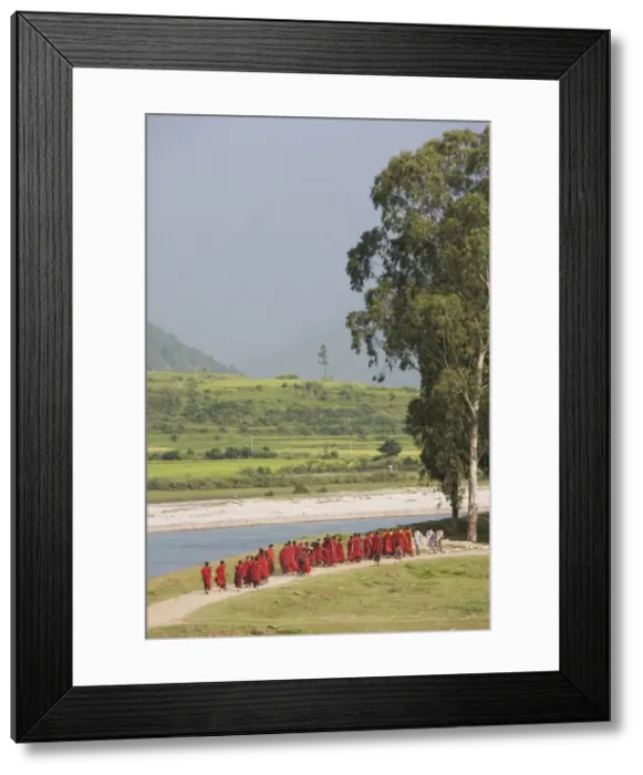 Framed Print : Buddhist monks from Punakha Dzong, going to river for meditation, Punakha, Bhutan, Asia Framed Print : Buddhist monks from Punakha Dzong, going to river for meditation, Punakha, Bhutan, Asia