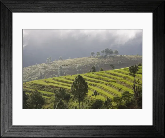 Framed Print : Punakha, Himalayas, Bhutan, Asia Framed Print : Punakha, Himalayas, Bhutan, Asia