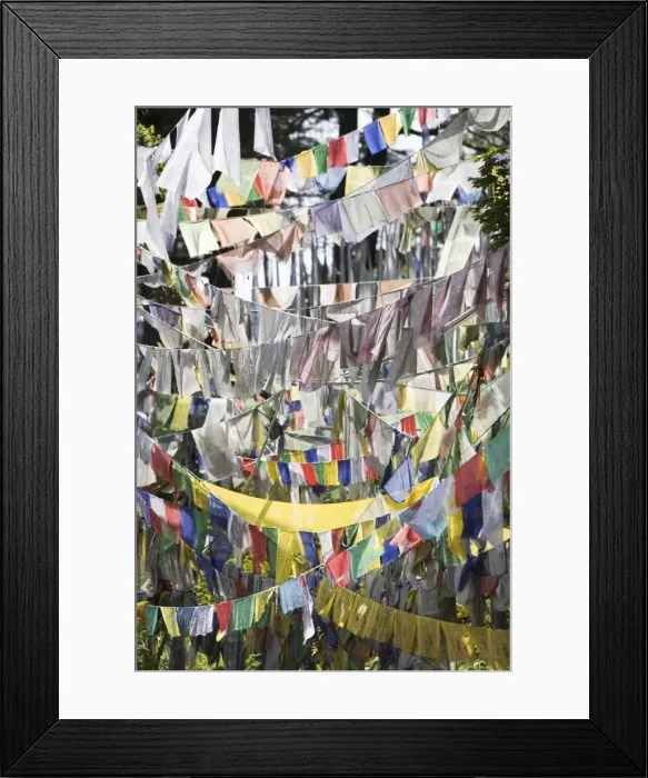Framed Print : Prayer flags, Druk Wangyal Chorten, Bhutan, Asia Framed Print : Prayer flags, Druk Wangyal Chorten, Bhutan, Asia