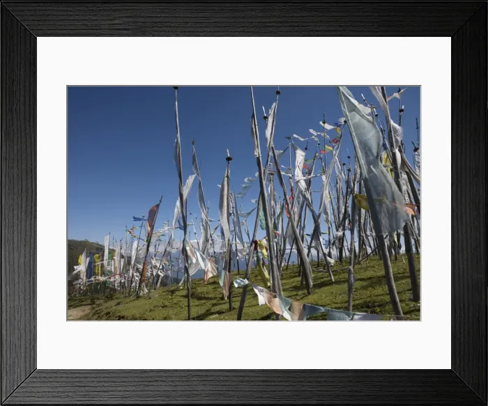 Framed Print : Buddhist prayer flags on Cheli La Pass, 3810m, from Paro to Haa Valley Framed Print : Buddhist prayer flags on Cheli La Pass, 3810m, from Paro to Haa Valley