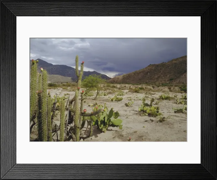 Framed Print : Altiplano, Bolivia, South America Framed Print : Altiplano, Bolivia, South America