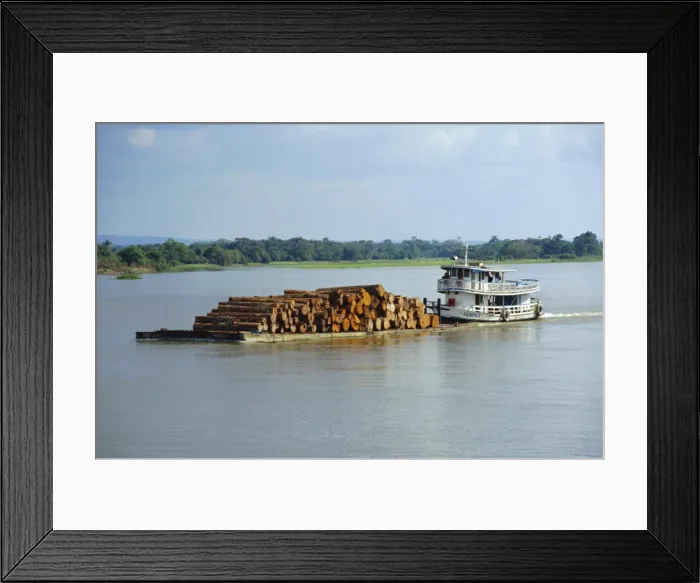 Framed Print : Transporting logs on the Curua-Unn River, near Amazon, Brazil, South America Framed Print : Transporting logs on the Curua-Unn River, near Amazon, Brazil, South America