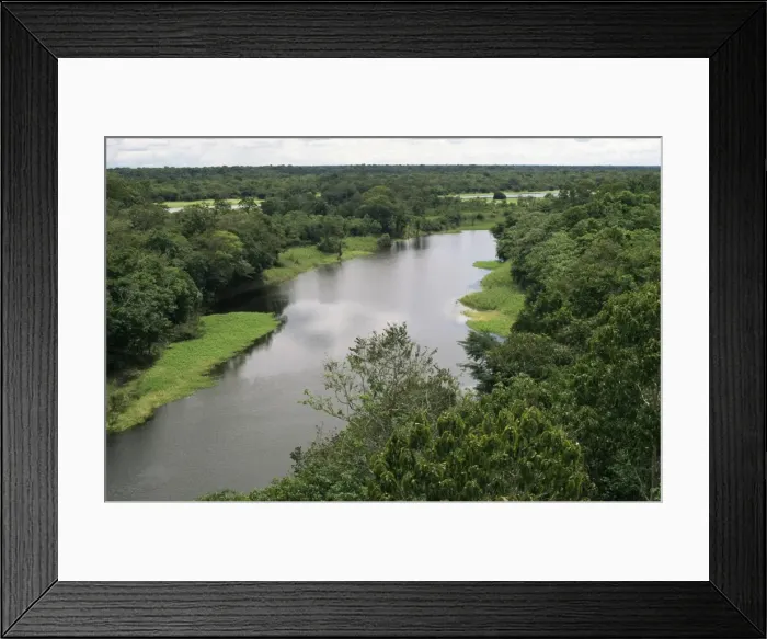 Framed Print : Anavilhanas archipelago, Rio Negro, Amazon area, Brazil, South America Framed Print : Anavilhanas archipelago, Rio Negro, Amazon area, Brazil, South America