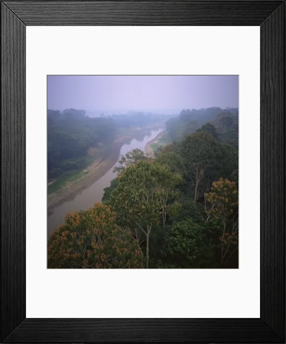 Framed Print : Morning mists in Rio Negro region of Amazon rainforest, Amazonas State Framed Print : Morning mists in Rio Negro region of Amazon rainforest, Amazonas State