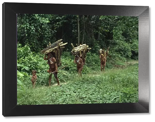 Yanomami indian women collecting wood, Brazil, South America
