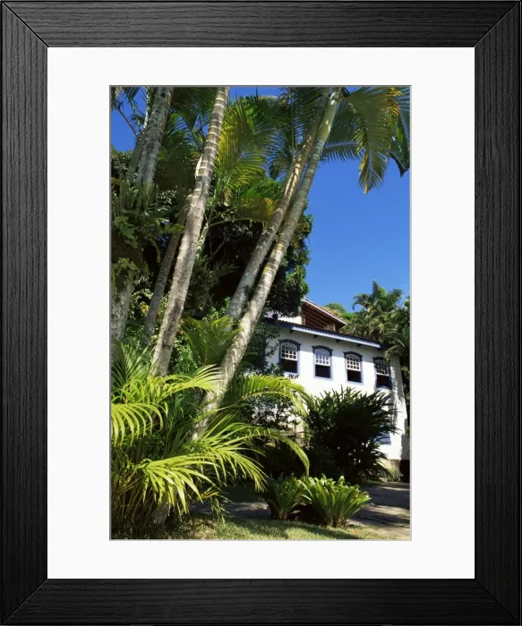 Framed Print : Pousada and palms, Pousada Picinguaba, Costa Verde, south of Rio, Brazil, South America Framed Print : Pousada and palms, Pousada Picinguaba, Costa Verde, south of Rio, Brazil, South America
