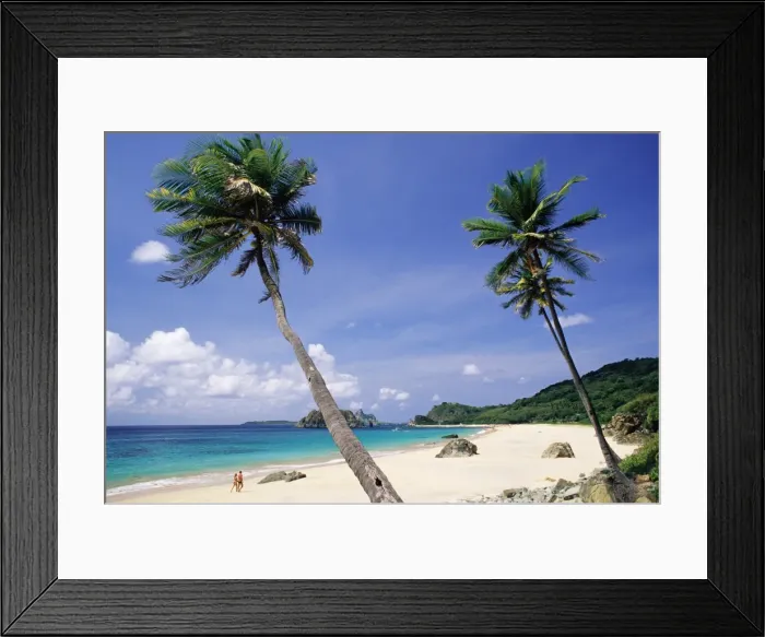 Framed Print : Palm trees at Praia do Conbceicao beach, Parque Nacional de Fernando de Noronha Framed Print : Palm trees at Praia do Conbceicao beach, Parque Nacional de Fernando de Noronha